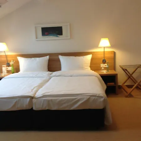 Sapia St. Fridolin 巴特塞京根