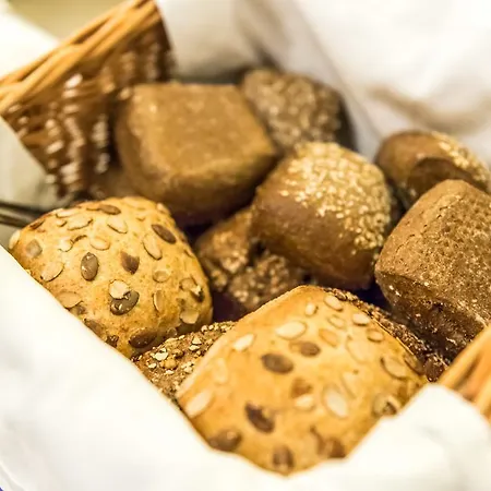 酒店 Sapia St. Fridolin 3*