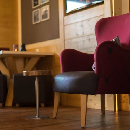 Sapia St. Fridolin 酒店 巴特塞京根