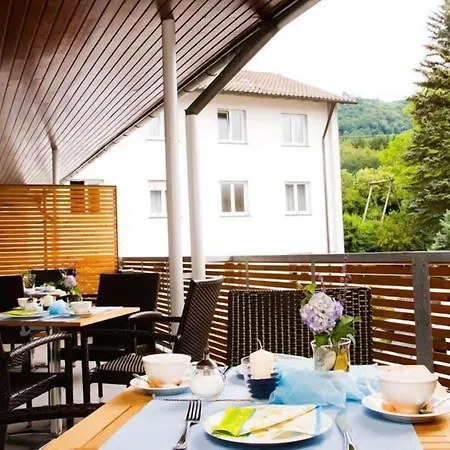 Sapia St. Fridolin