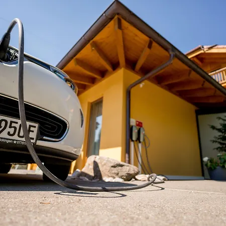 Sapia St. Fridolin 3*