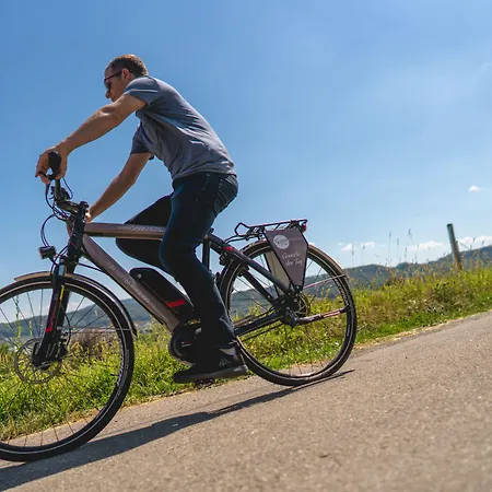 Sapia St. Fridolin 3*