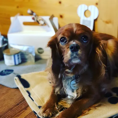 Sapia St. Fridolin 3*